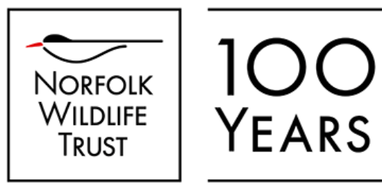 Picture of Wilder Hickling Project Roles
