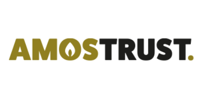 Chair of Trustees